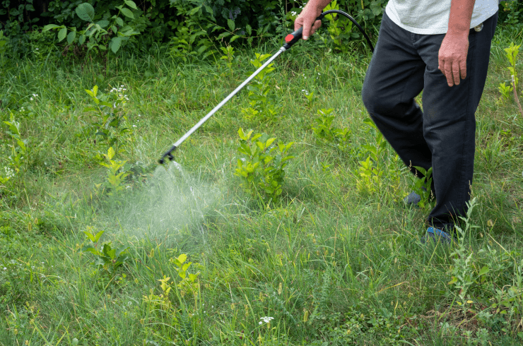 True American Lawn Care