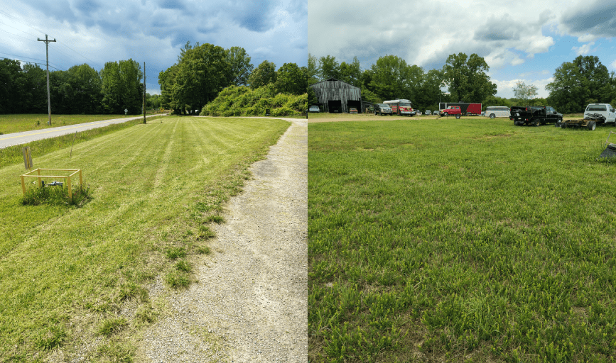 Lawn Maintenance