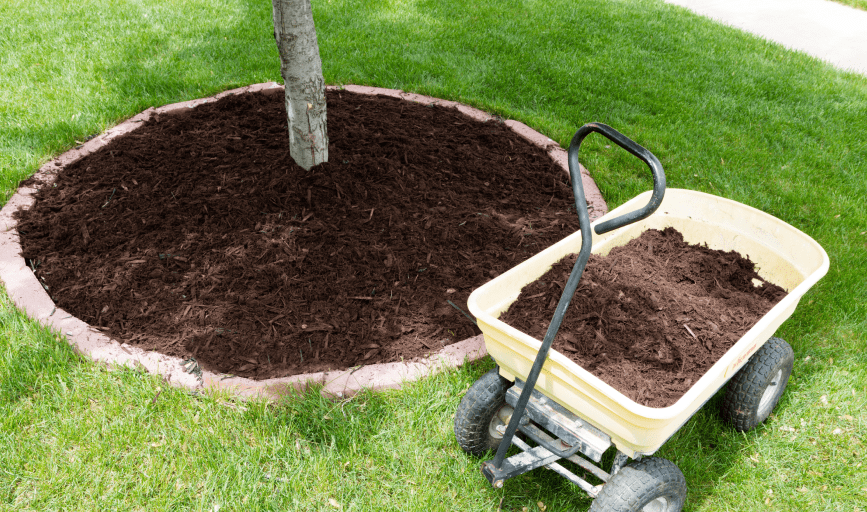 Mulching Services